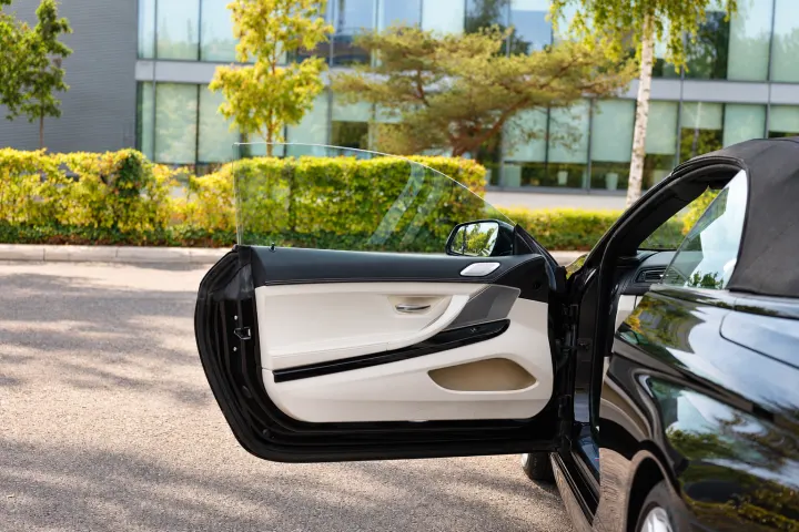 Passenger door trim