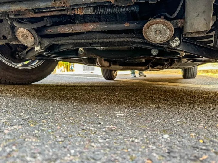 Underside: rear